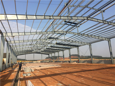 广西农垦钢结构项目